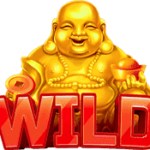 Wild BUDAI REELS