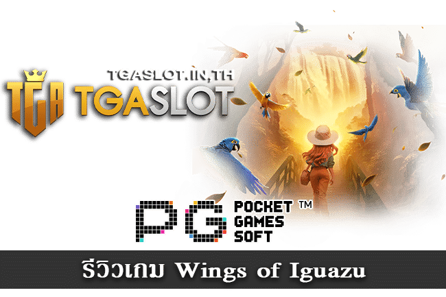 รีวิวเกม Wings of Iguazu